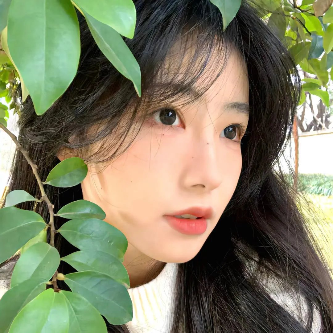 黑社会笔记